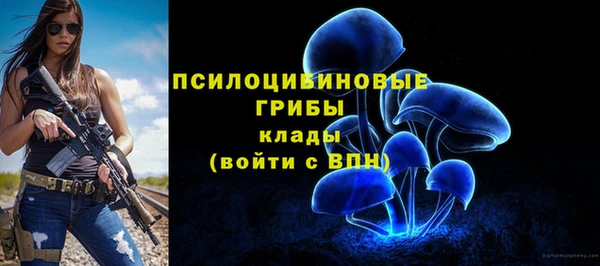 стаф Балабаново