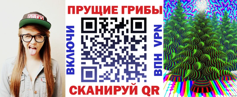 закладка  Холмск  Галлюциногенные грибы MAGIC MUSHROOMS 